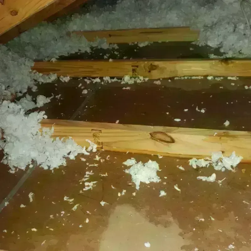 Attic Water Damage in Cache County, UT